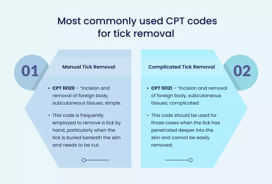 commonly used CPT codes