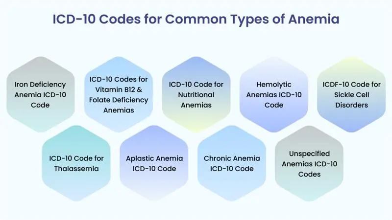 ICD-10 Codes for Common Types of Anemia